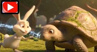 rabit and turtle story